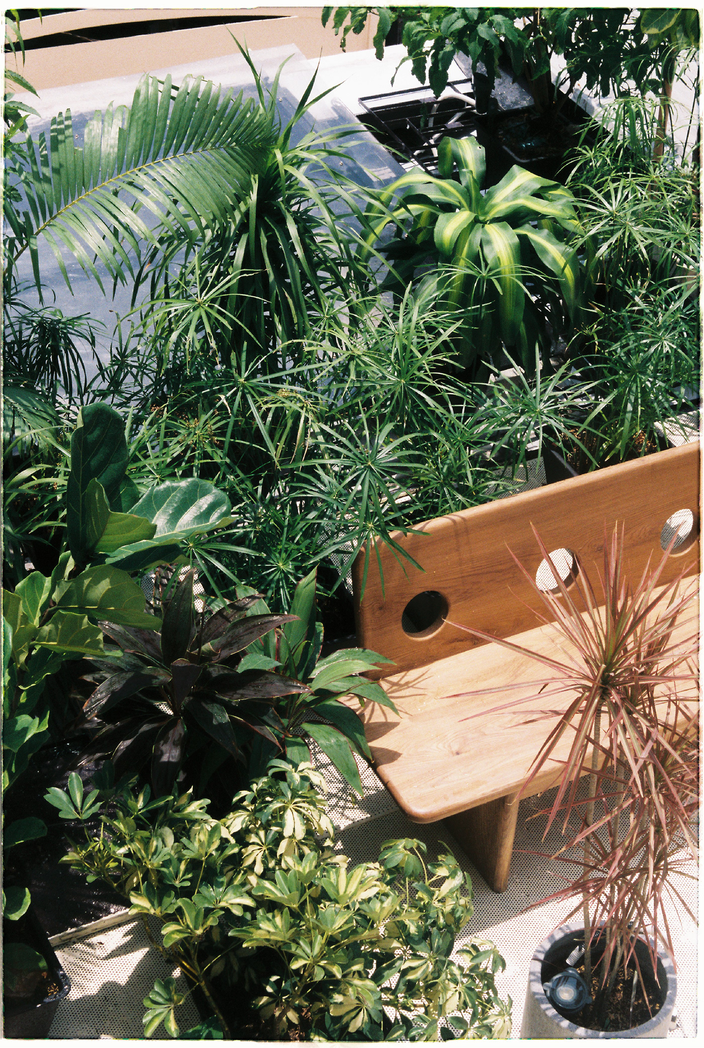 Bench，autumn，Bird's nest，