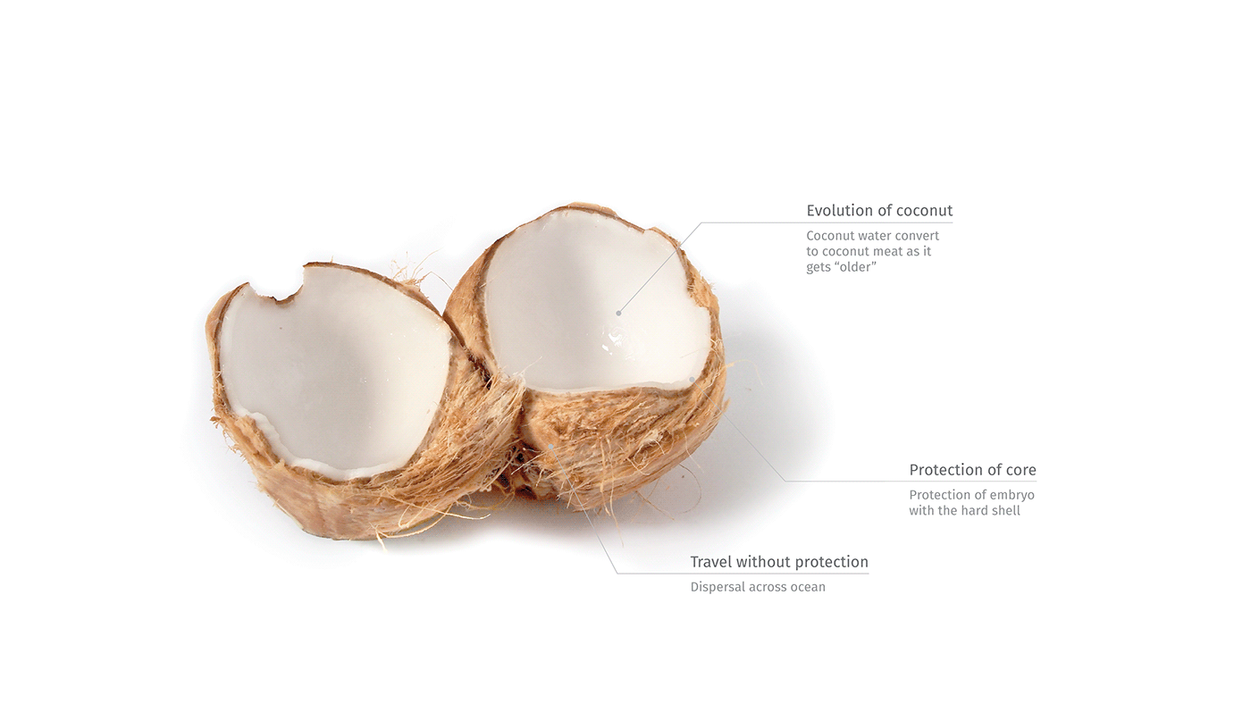 Cosmetics，packing，motion，