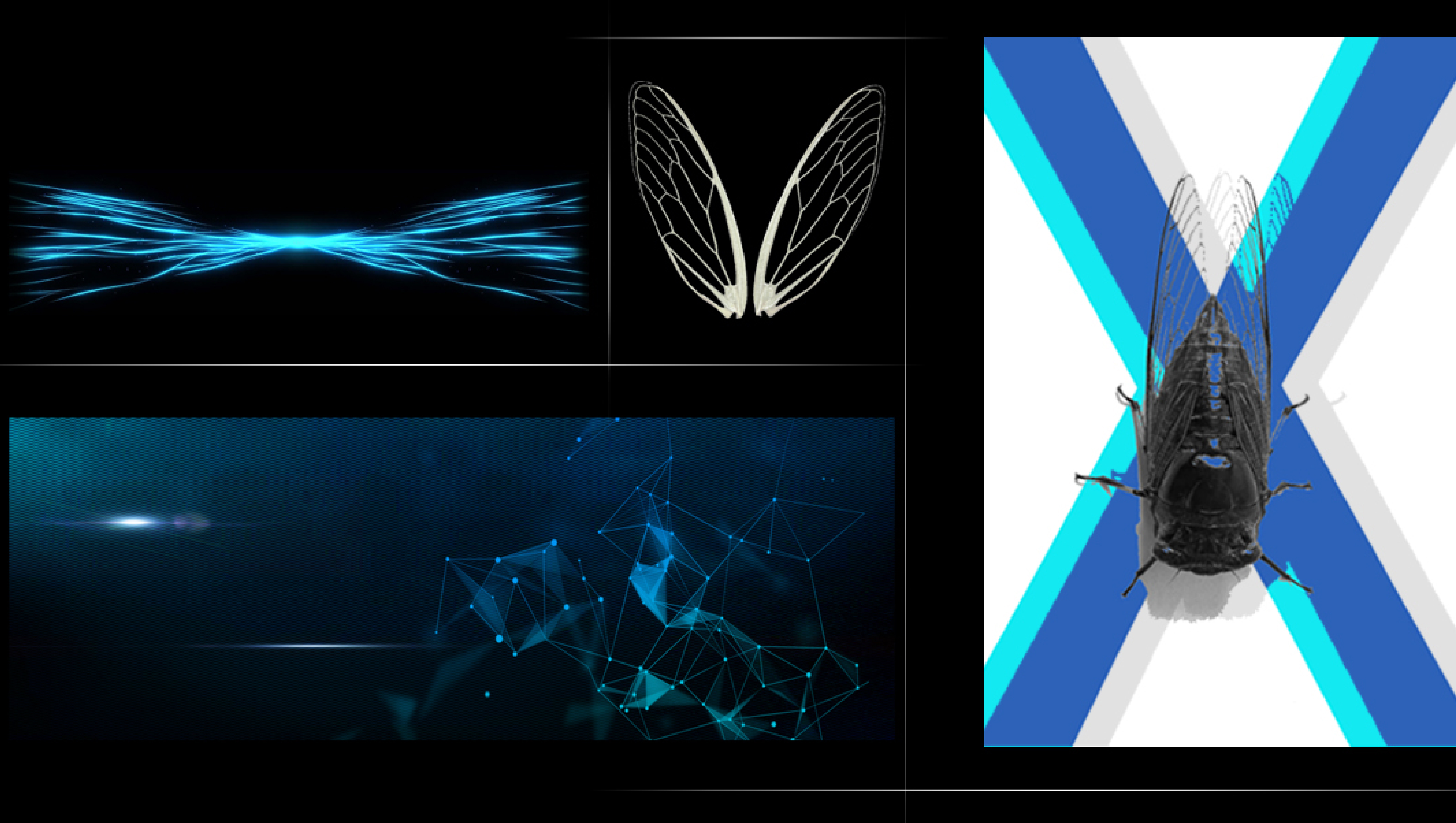 industrial design，Artificial intelligence teaching aids，Intelligent data acquisition remote control vehicle，