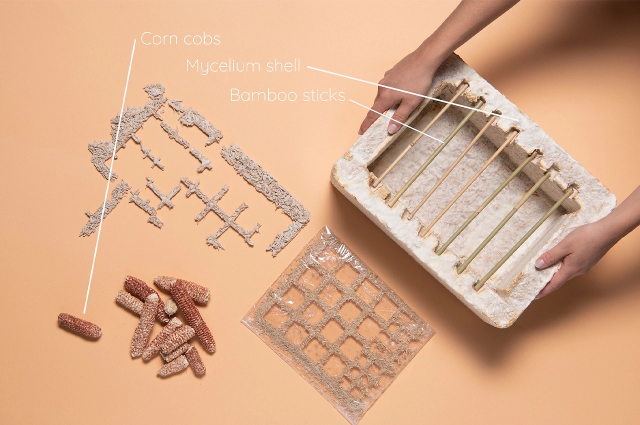 environment protection，sustainable，security，