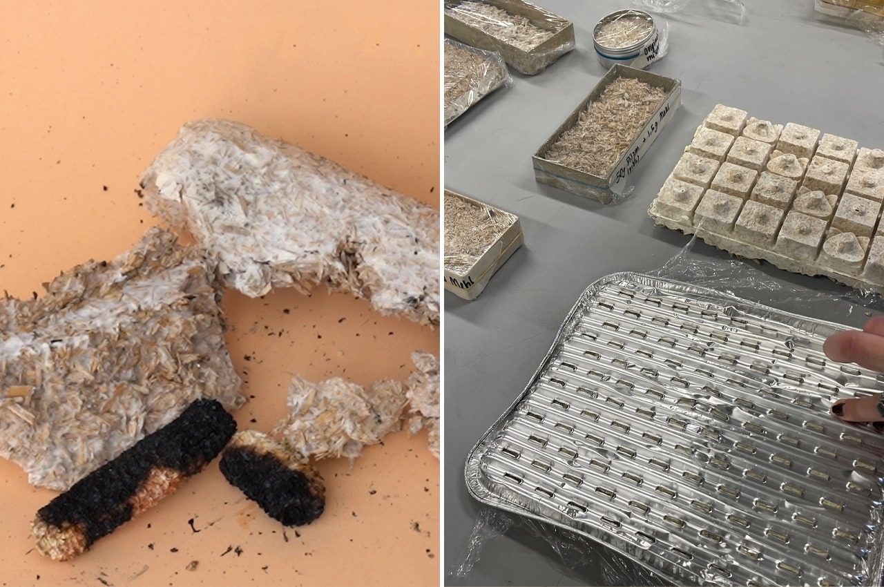 environment protection，sustainable，security，