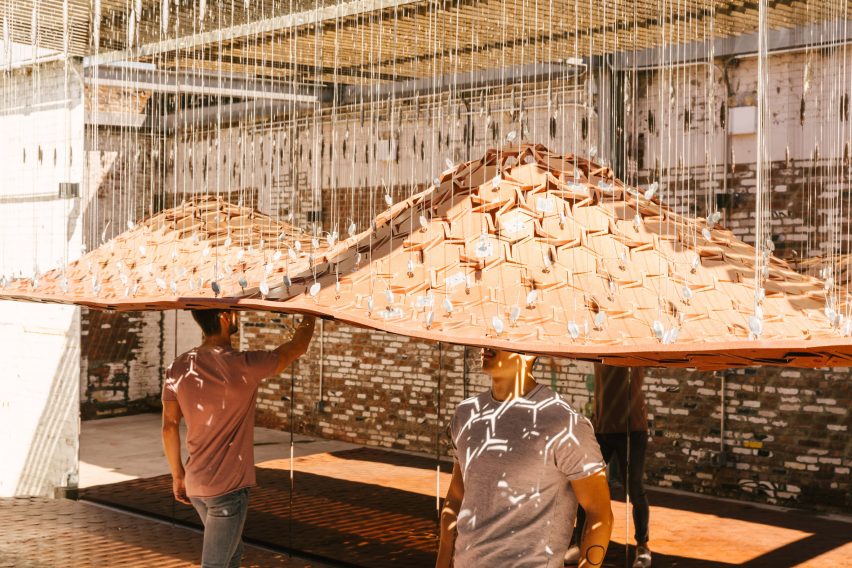 Architecture，interaction，function，