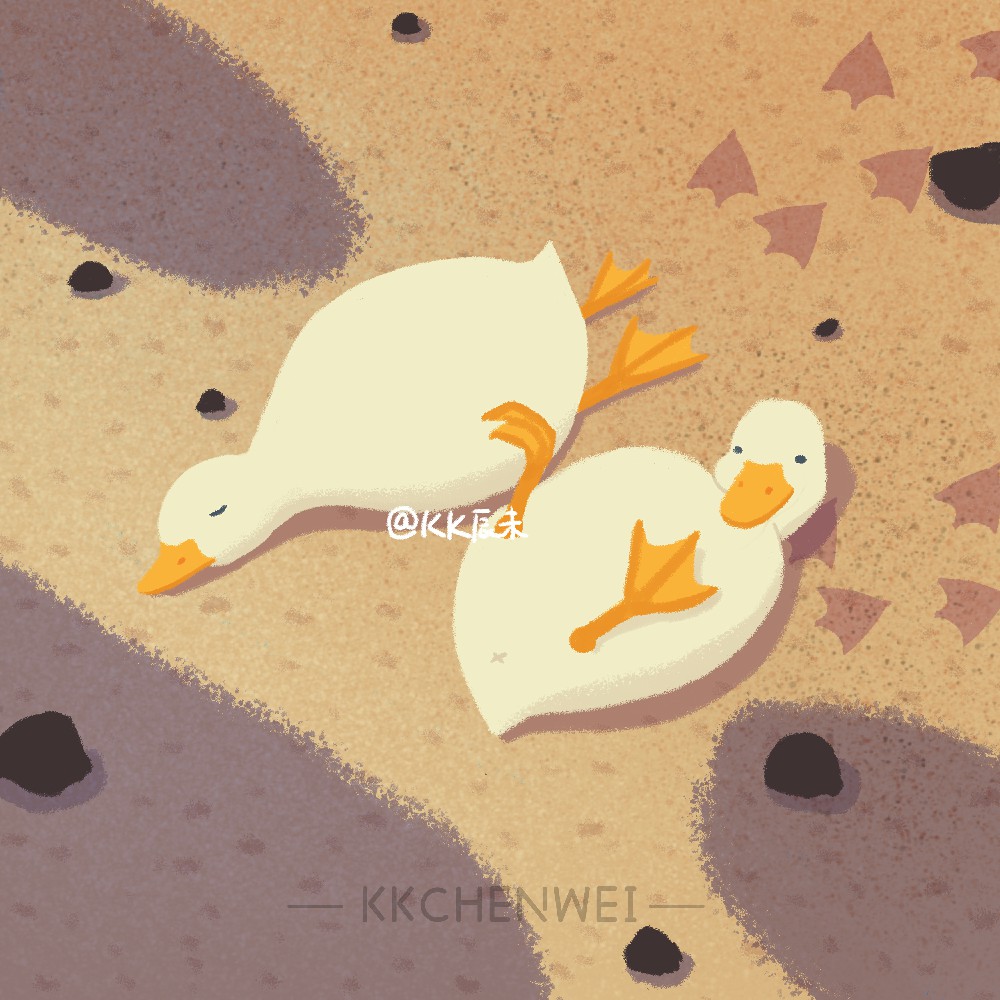 duck - 普象网