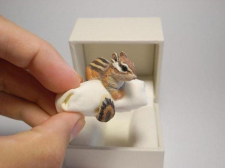 Ring，Toys，interest，