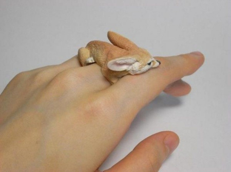 Ring，Toys，interest，