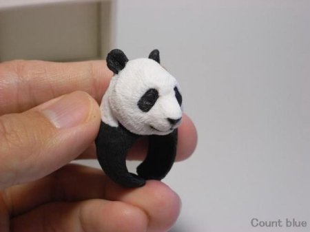 Ring，Toys，interest，