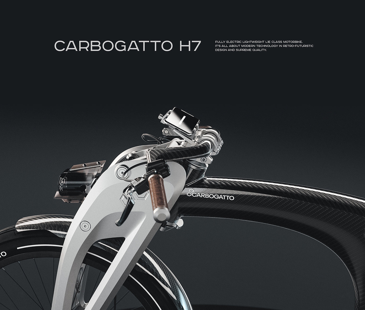 Bicycle，Electric bicycle，Carbogatto，Electric motorcycle，