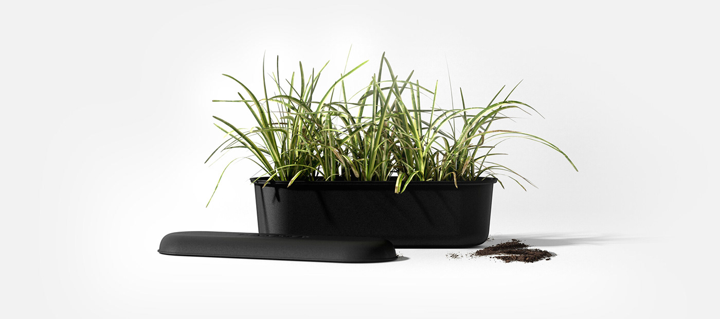 Allbirds，High performance running shoes，Sustainable packaging，