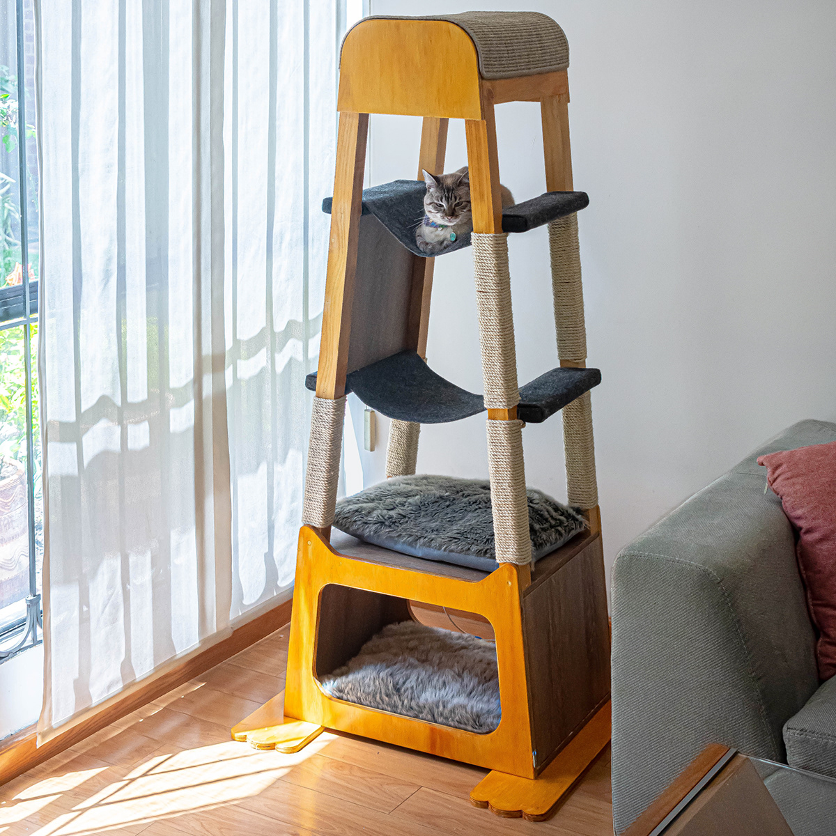 SIO，Cat nest，woodiness，