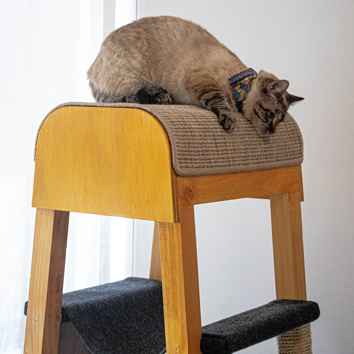 SIO，Cat nest，woodiness，