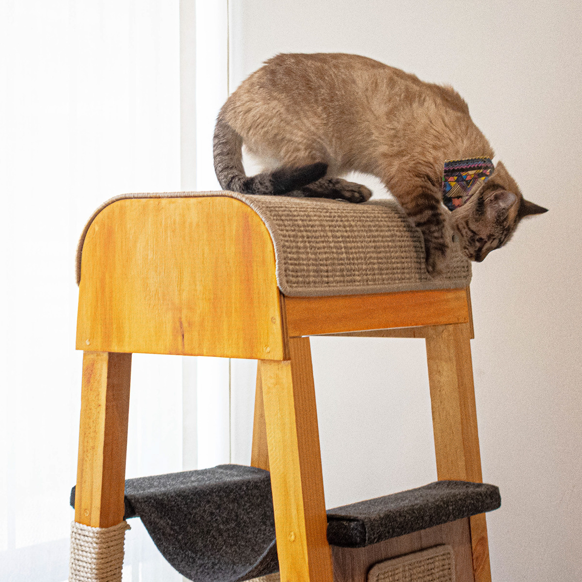 SIO，Cat nest，woodiness，