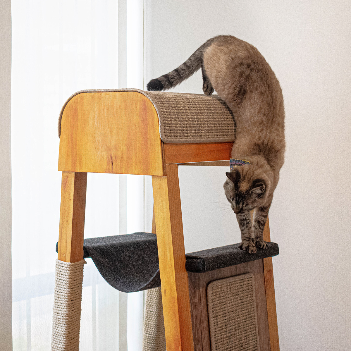 SIO，Cat nest，woodiness，