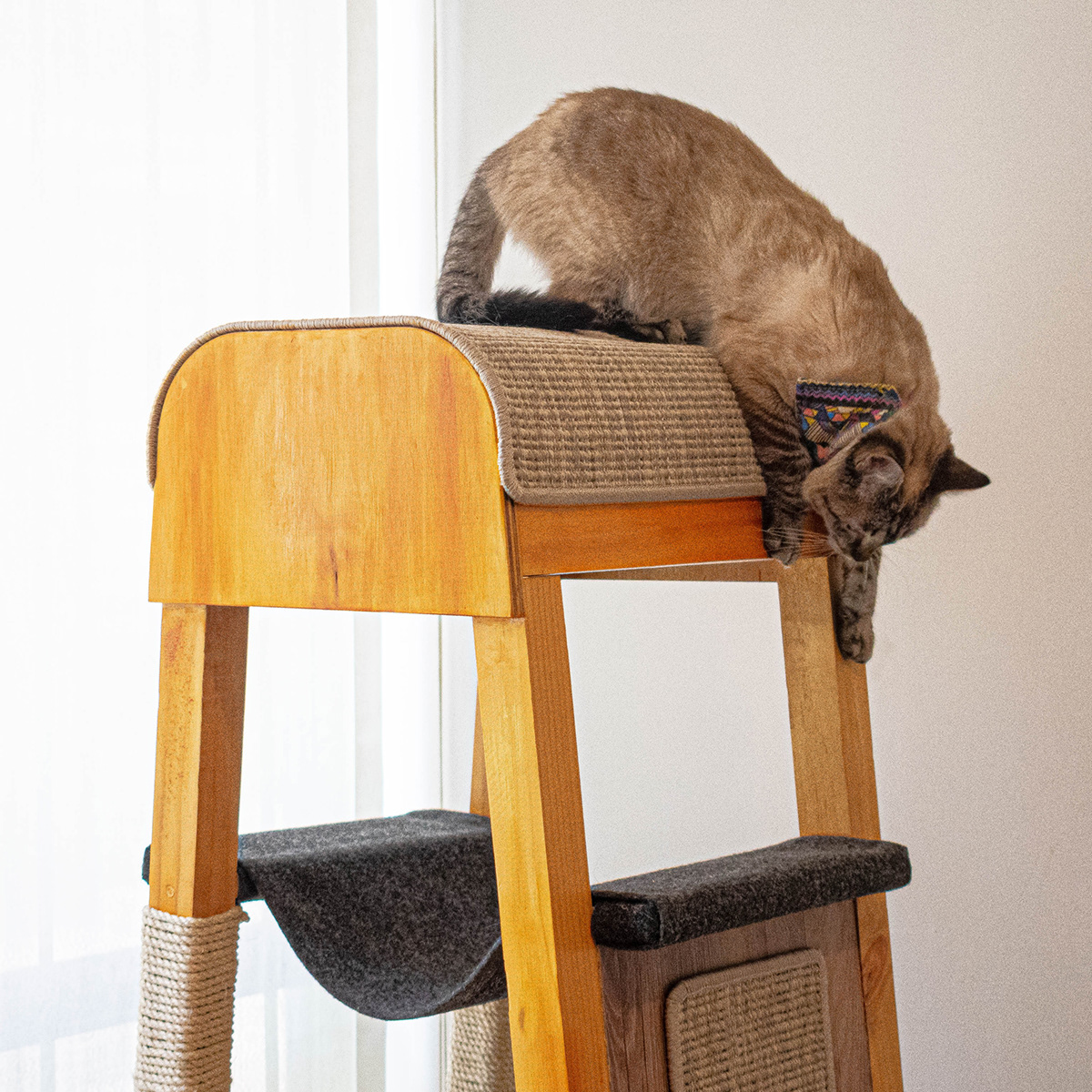 SIO，Cat nest，woodiness，