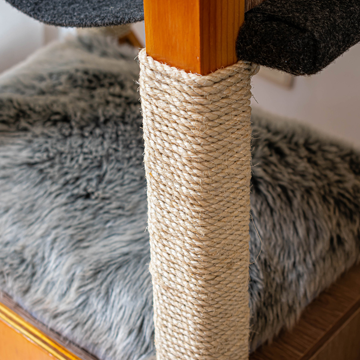 SIO，Cat nest，woodiness，