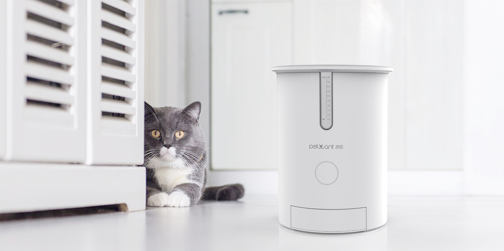 Intelligent pet feeder，Pet Supplies & Pet，