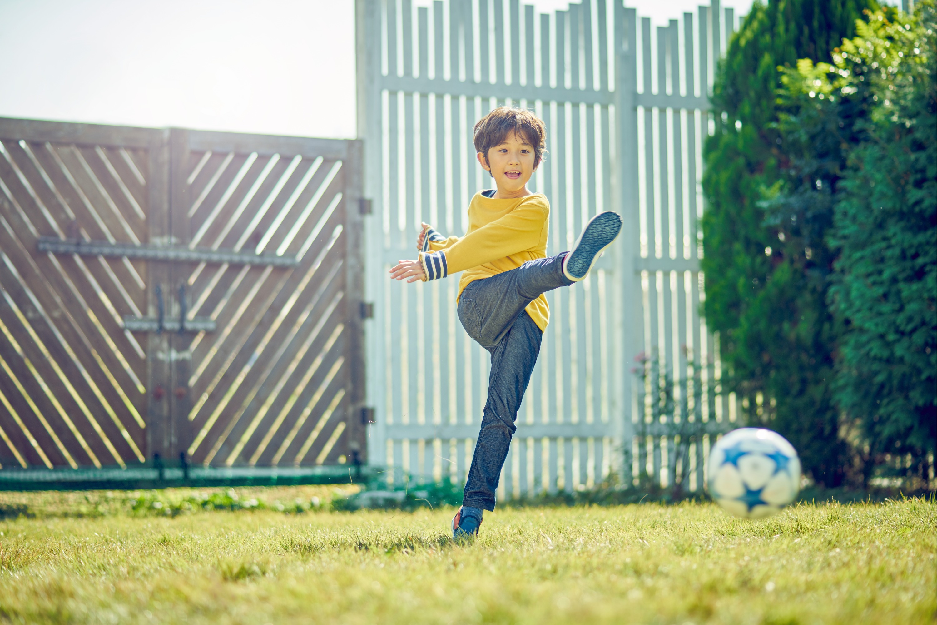 Sony，4K HD，Optical anti shake，Motion camera，