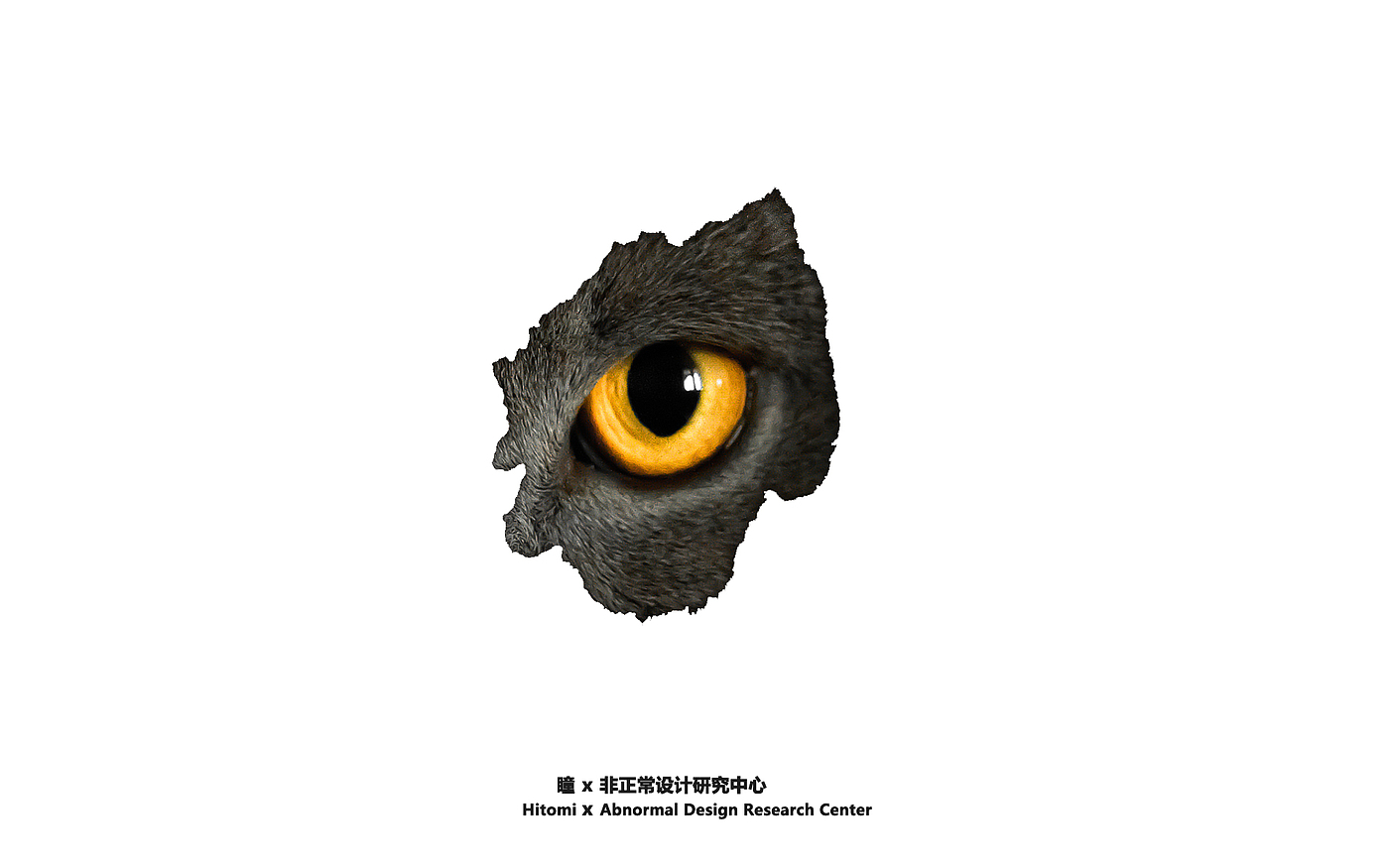 Night light，eye，