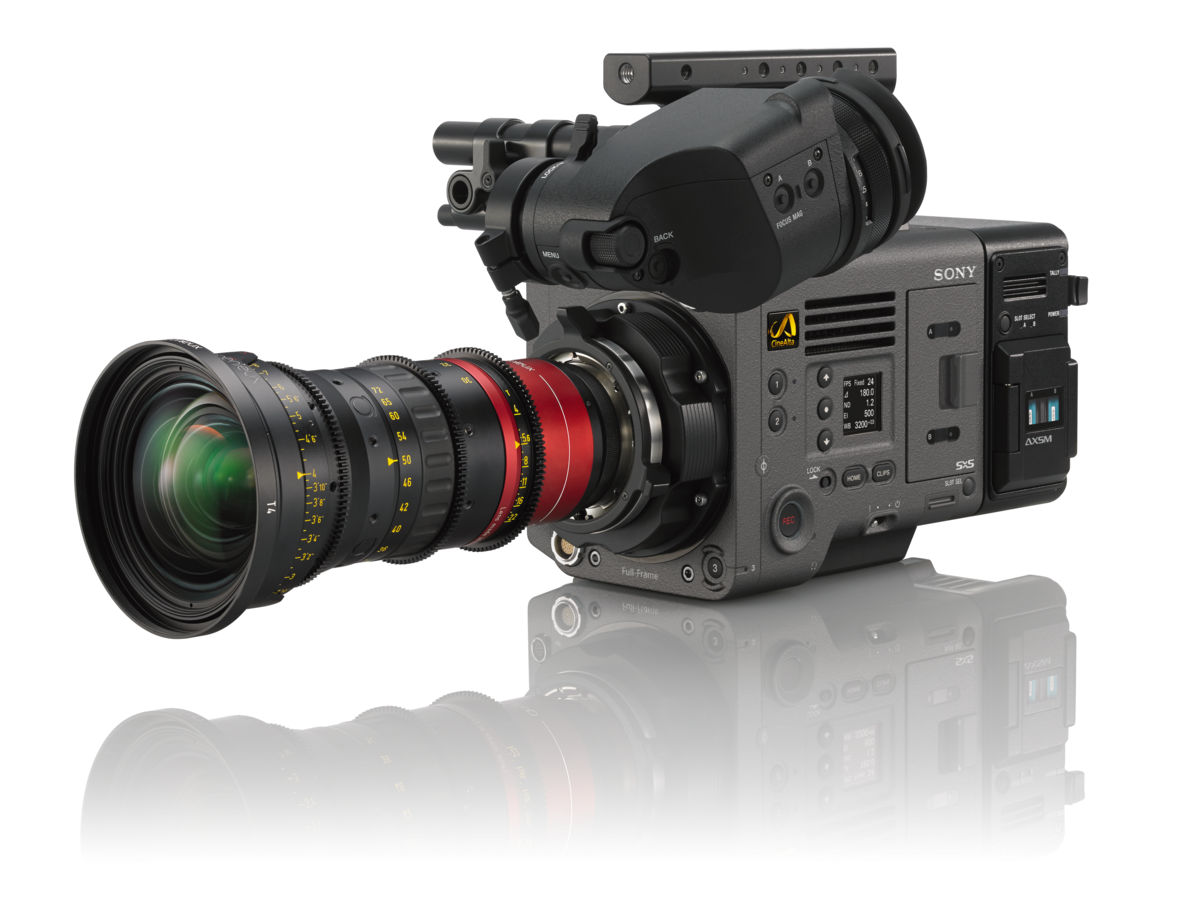 Sony CINEALTA Venice. 6k Sony Venice. Кинокамера Sony Venice CINEALTA. Камера Sony Venice.