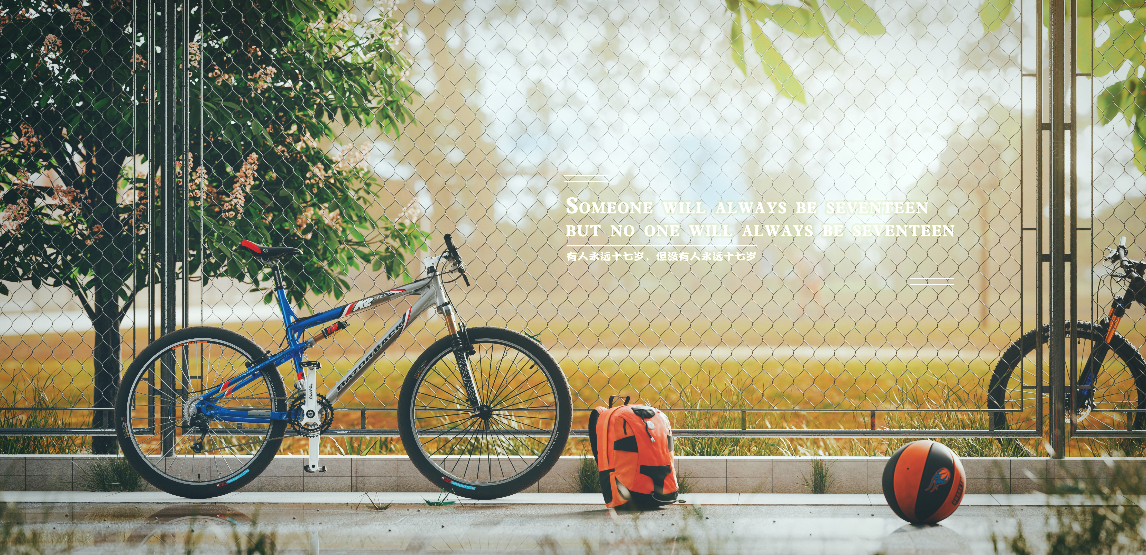 BLENDER，cycles，Product rendering，automobile，Realistic，campus，youth，