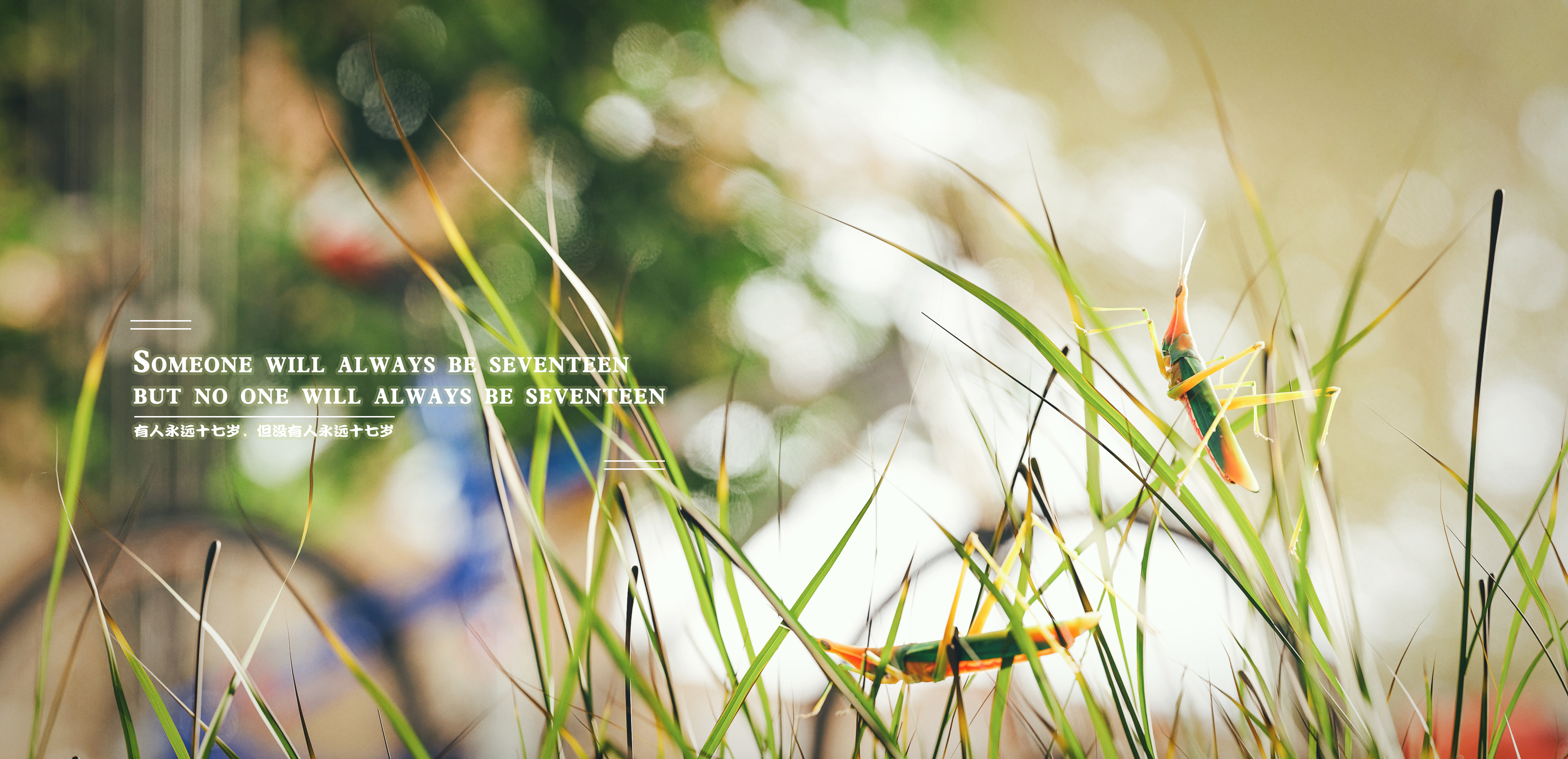 BLENDER，cycles，Product rendering，automobile，Realistic，campus，youth，