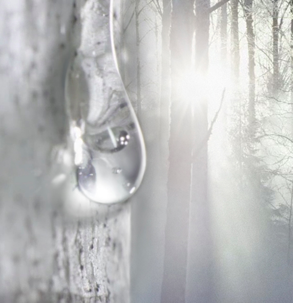 NongFu Spring，Honyaradoh，Facial mask，major suit，