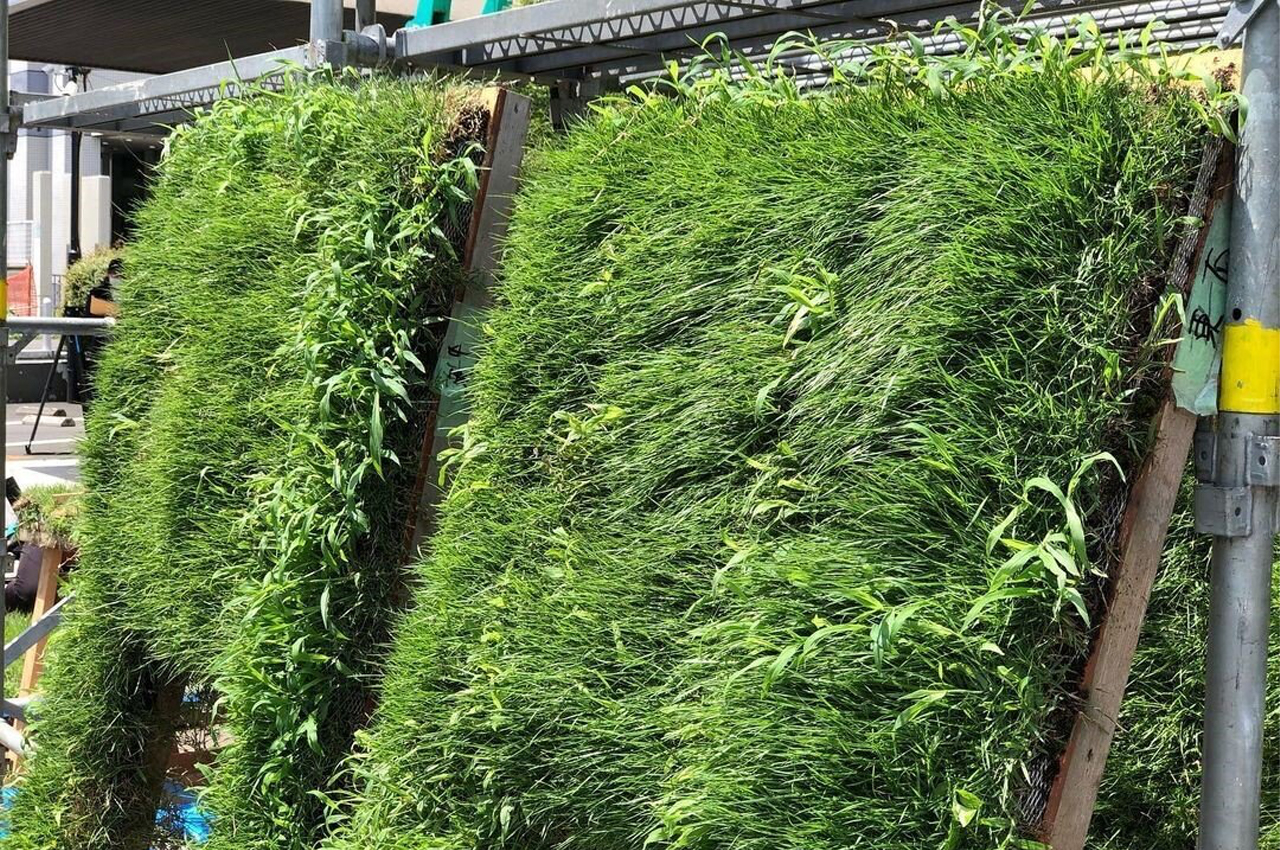 Architectural design，teahouse，Public art ，