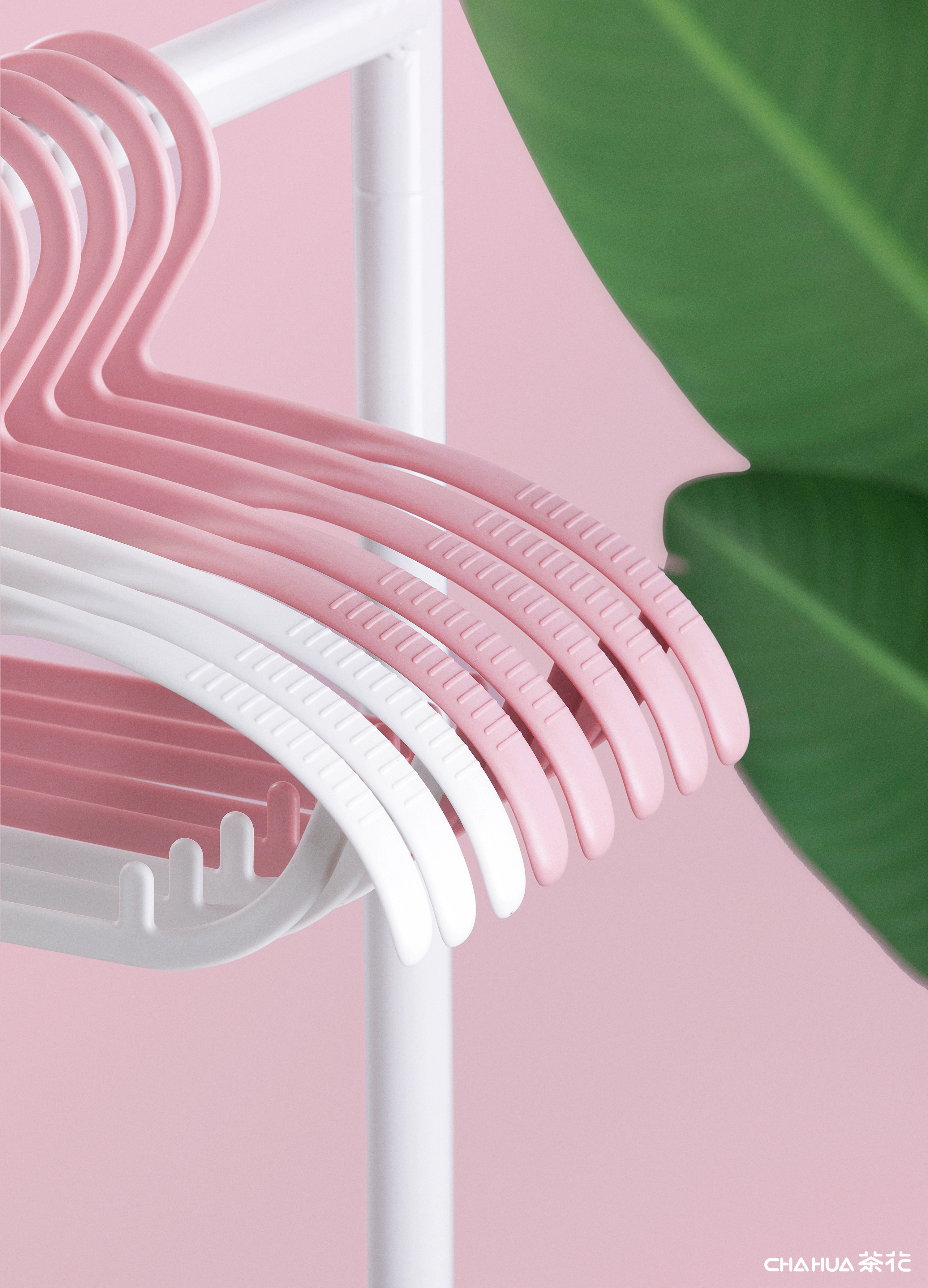 Camellia，Home Furnishing，coat hanger，Clothes hanger，Airing，