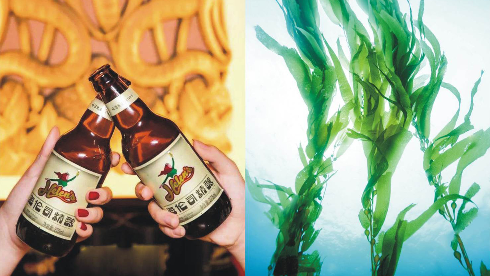 Gu Yi design，Beer packaging design company，