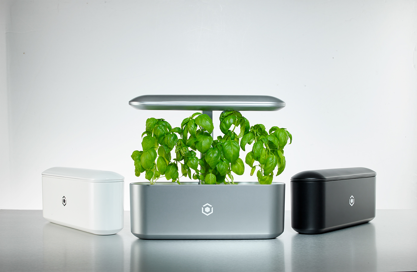 Botany，miniature，intelligence，Potted plants，green，