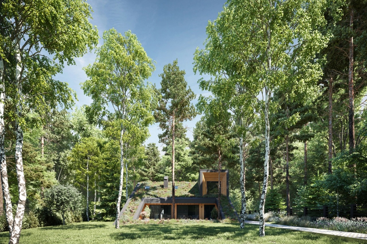 Architecture，residence，Tree House，environment protection，