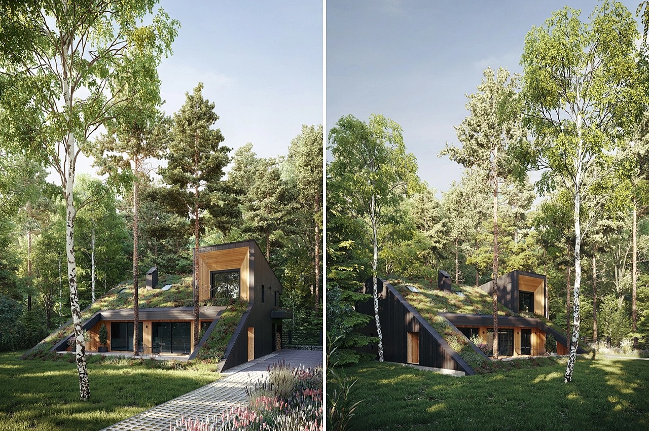 Architecture，residence，Tree House，environment protection，