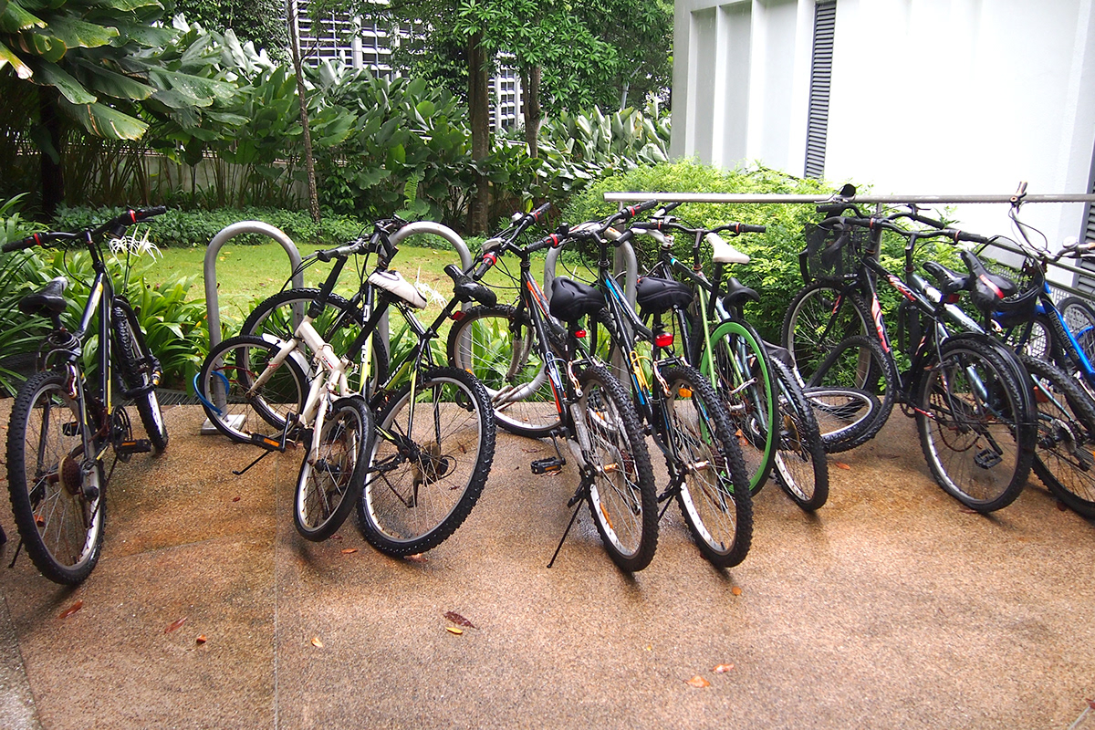 stability，Bicycle，park，National University of Singapore，