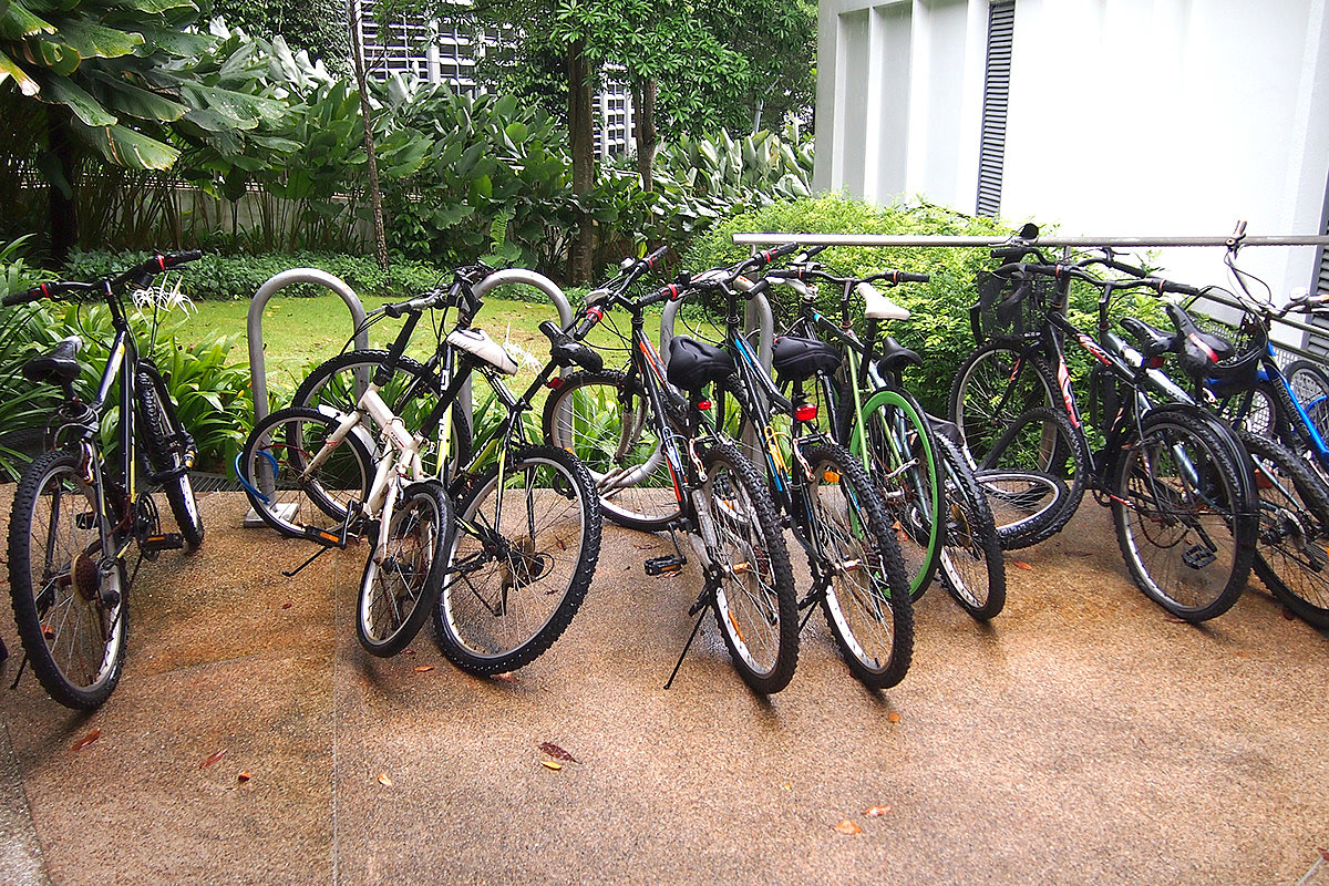 稳定性，自行车，停放，新加坡国立大学，