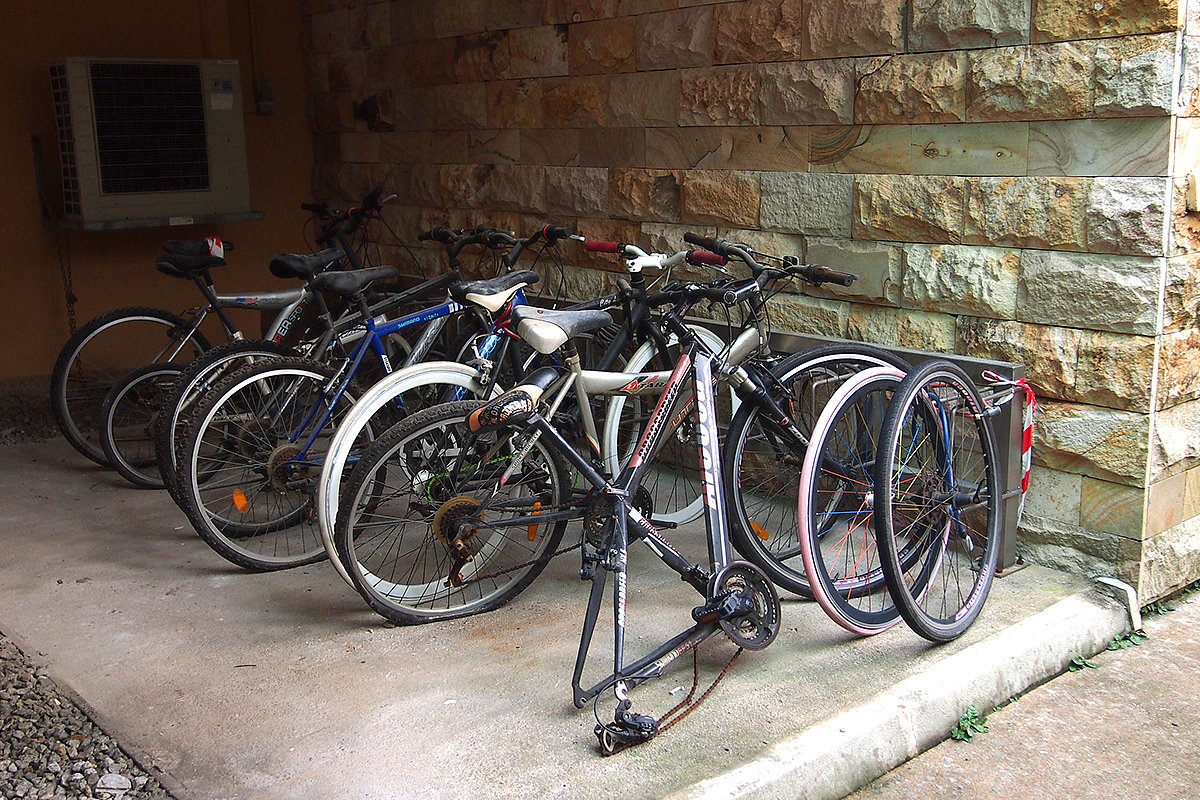 stability，Bicycle，park，National University of Singapore，