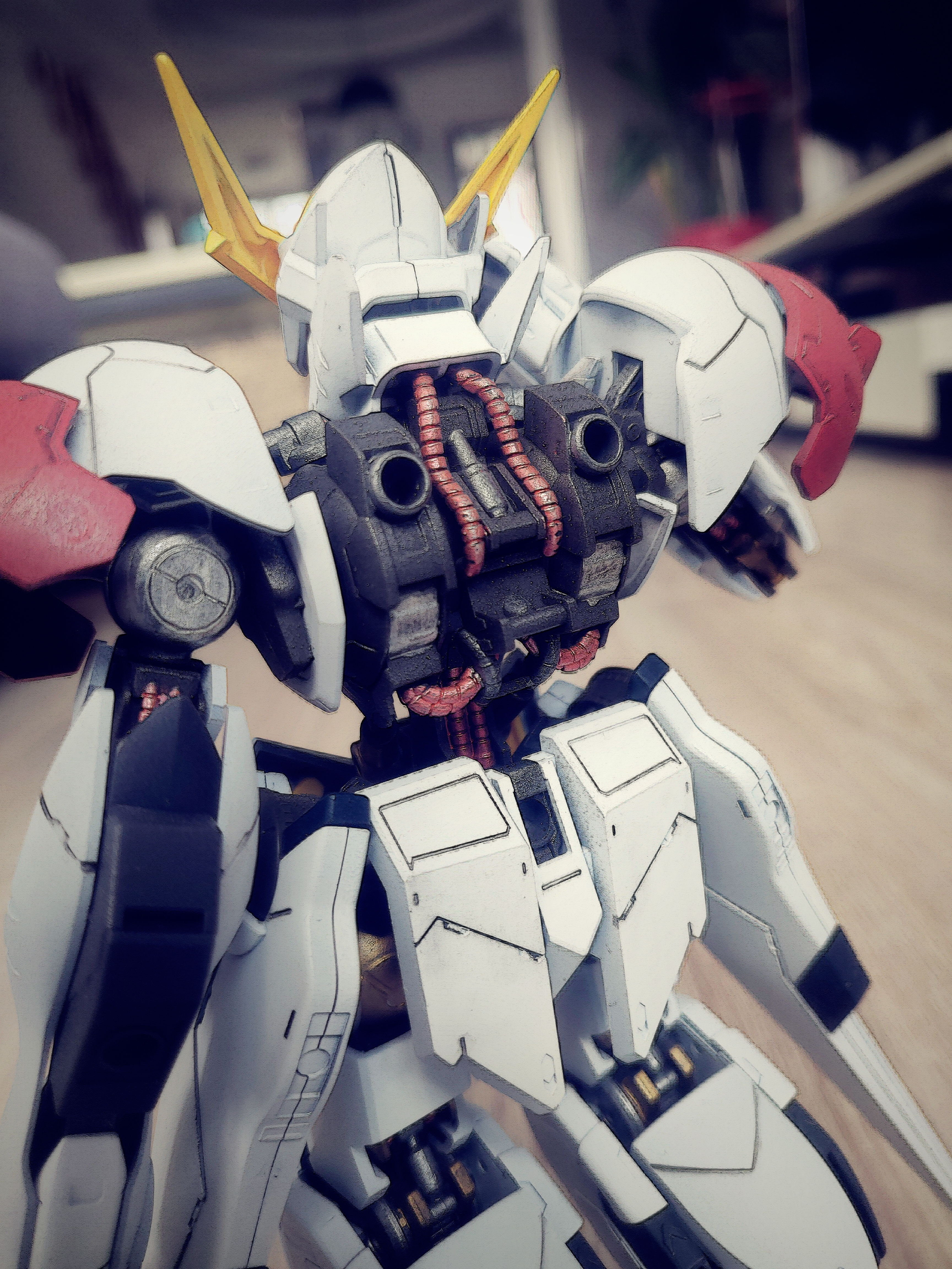 Wan Dai，the height is，Model，