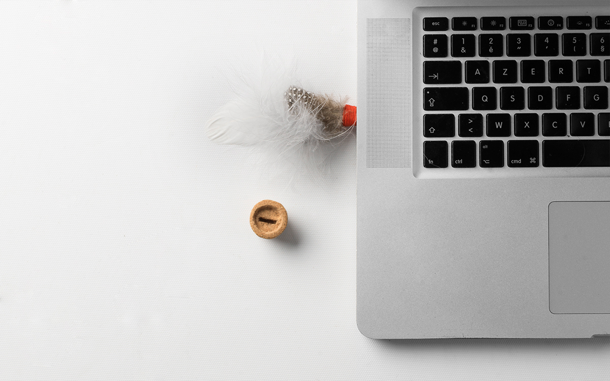 usb，Feather，cork，poetic flavour，