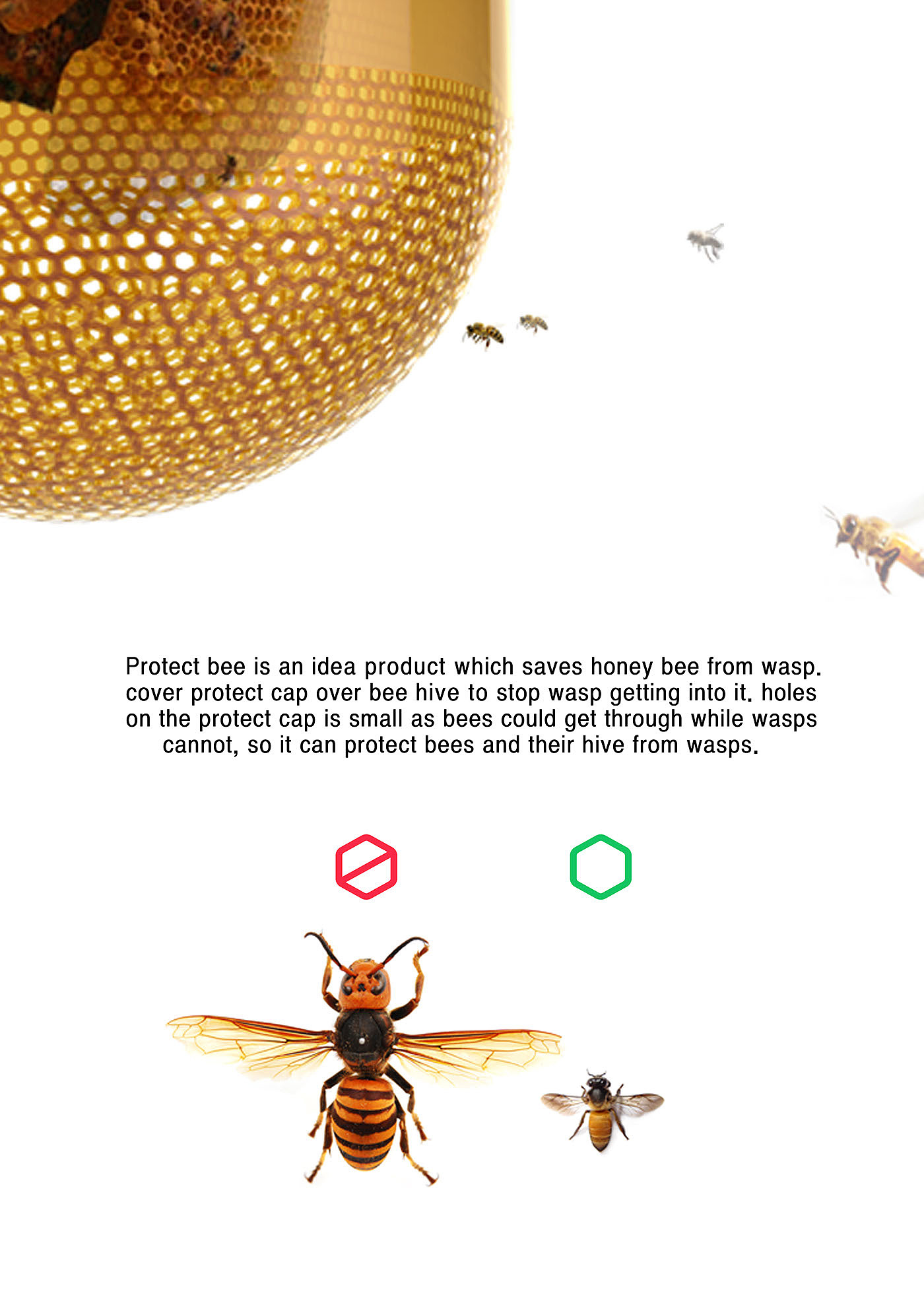 forest，love，protect，honeybee，animal，