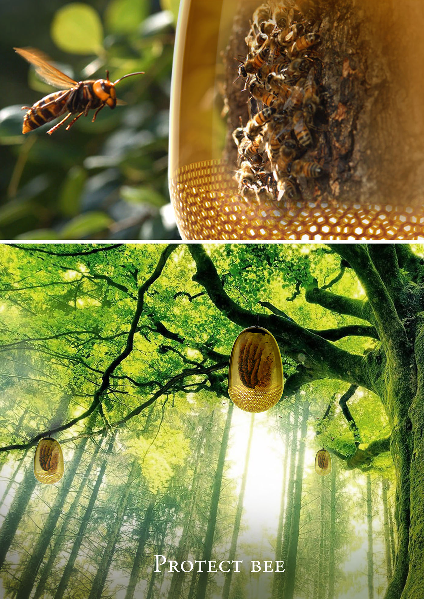 forest，love，protect，honeybee，animal，