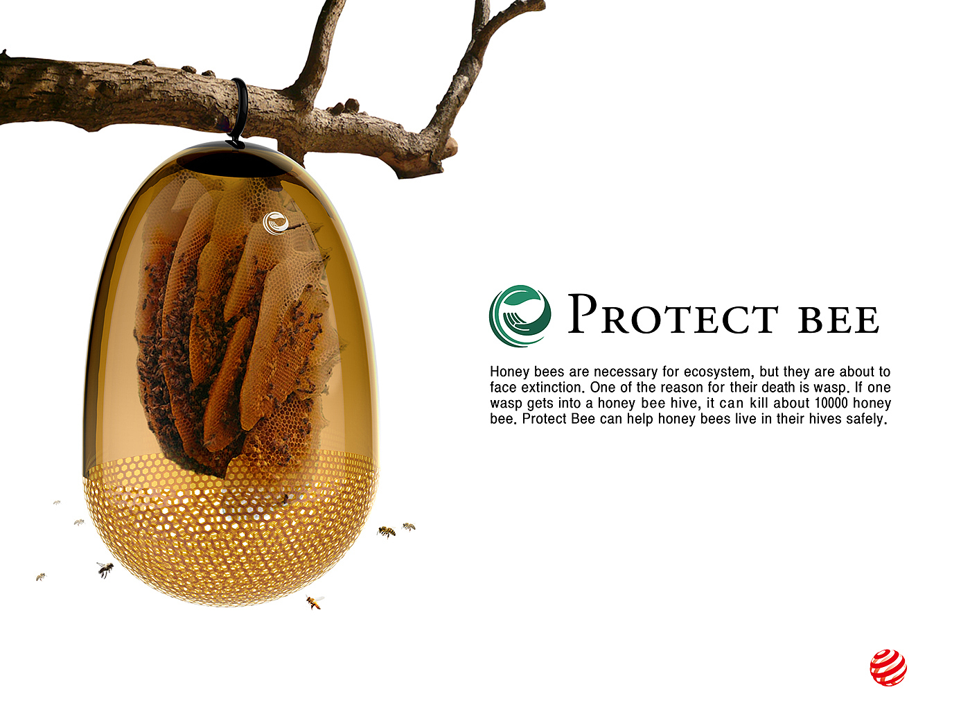 forest，love，protect，honeybee，animal，