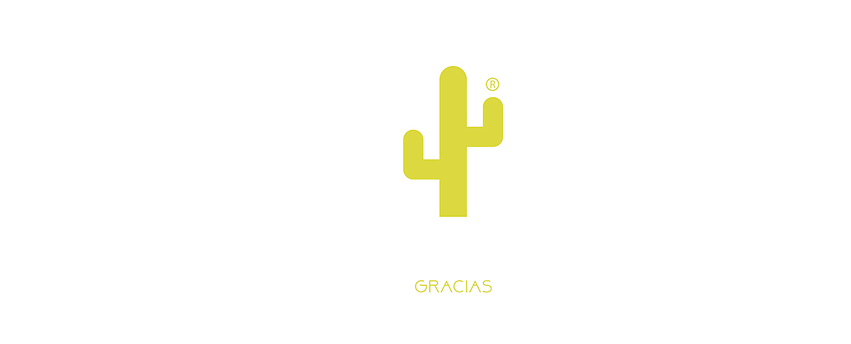 Decoration product，CACTUS，ornament，Decorative and functional，