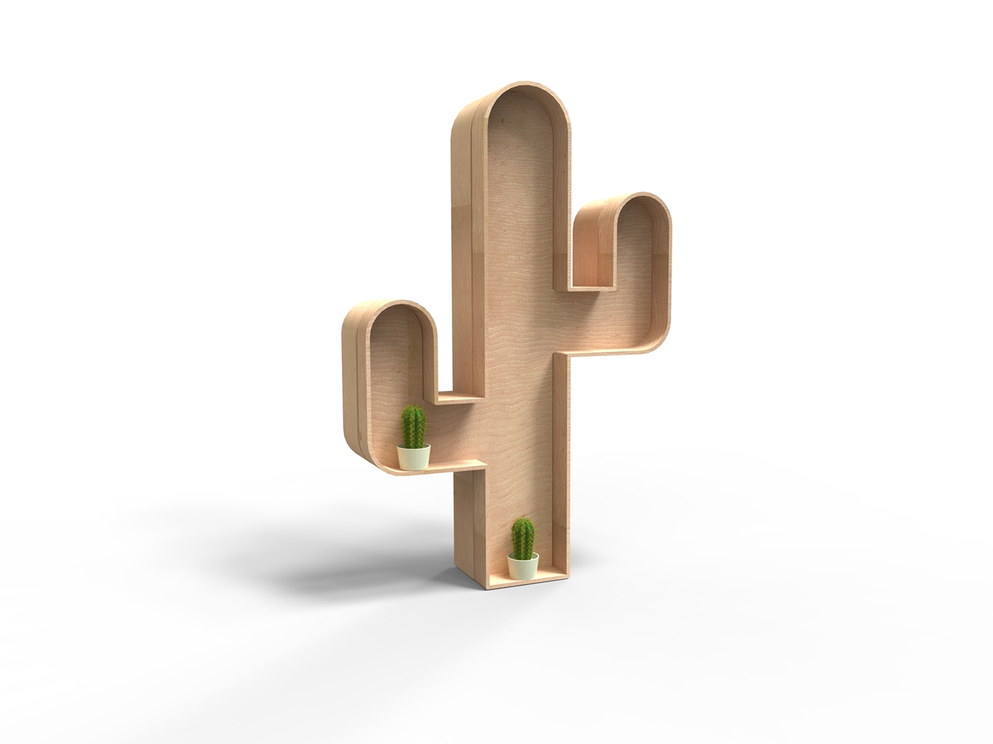 Decoration product，CACTUS，ornament，Decorative and functional，