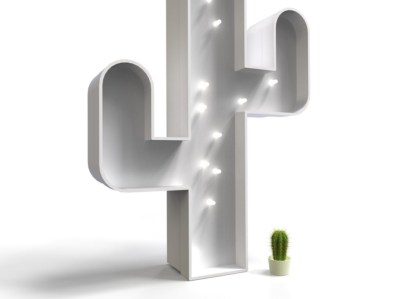 Decoration product，CACTUS，ornament，Decorative and functional，