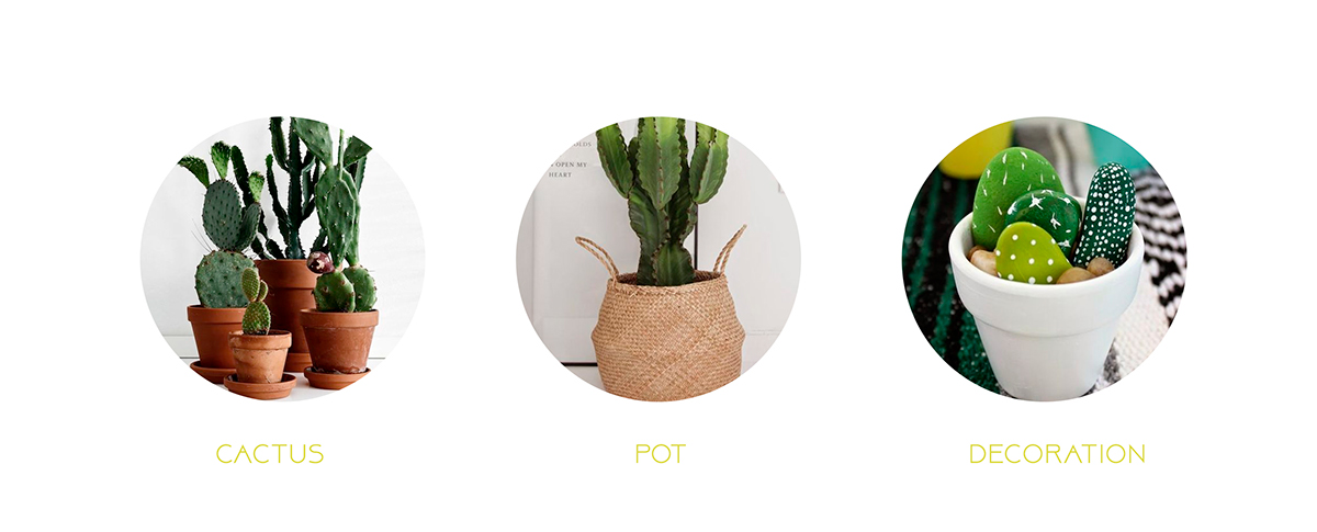 Decoration product，CACTUS，ornament，Decorative and functional，