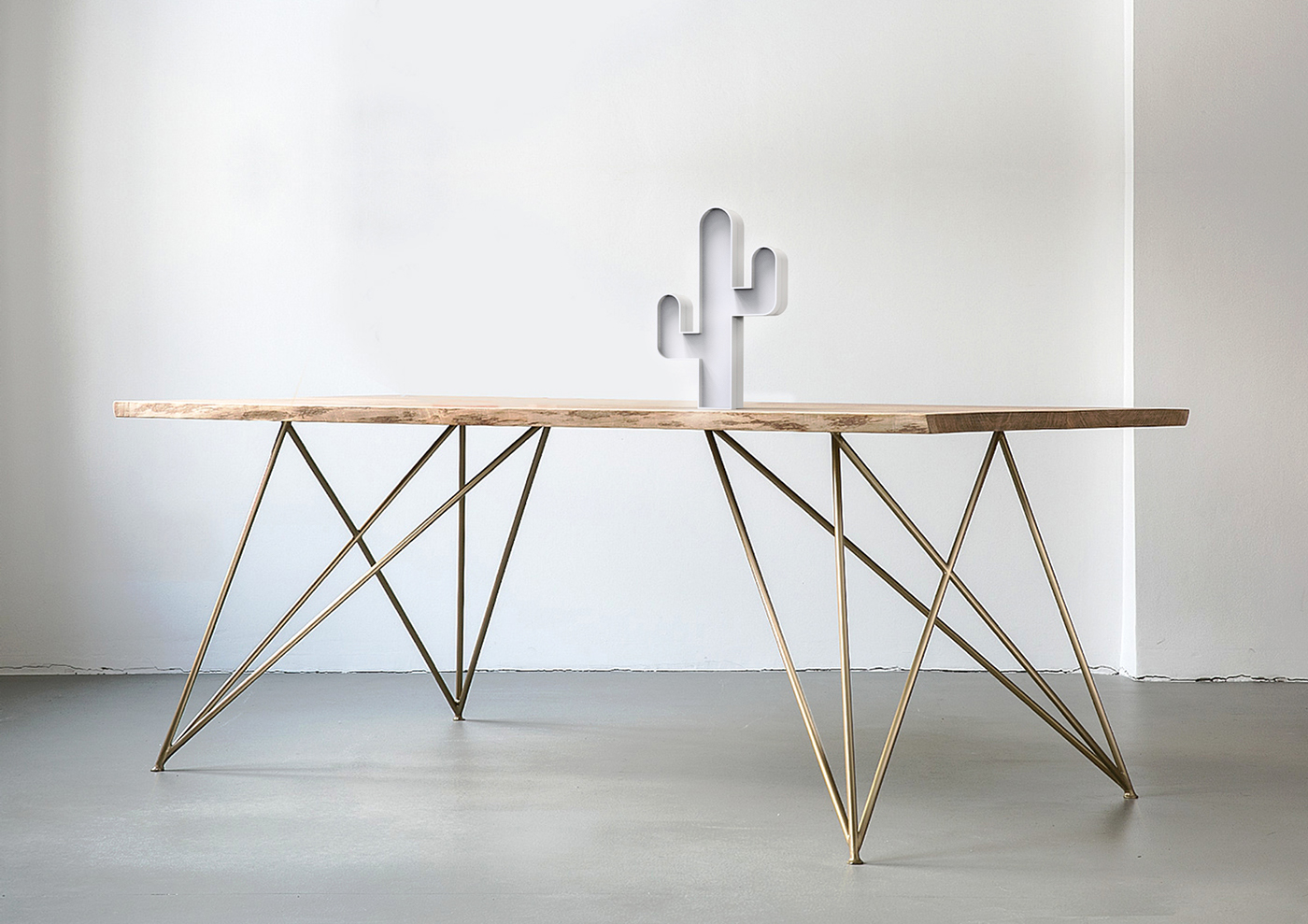 Decoration product，CACTUS，ornament，Decorative and functional，