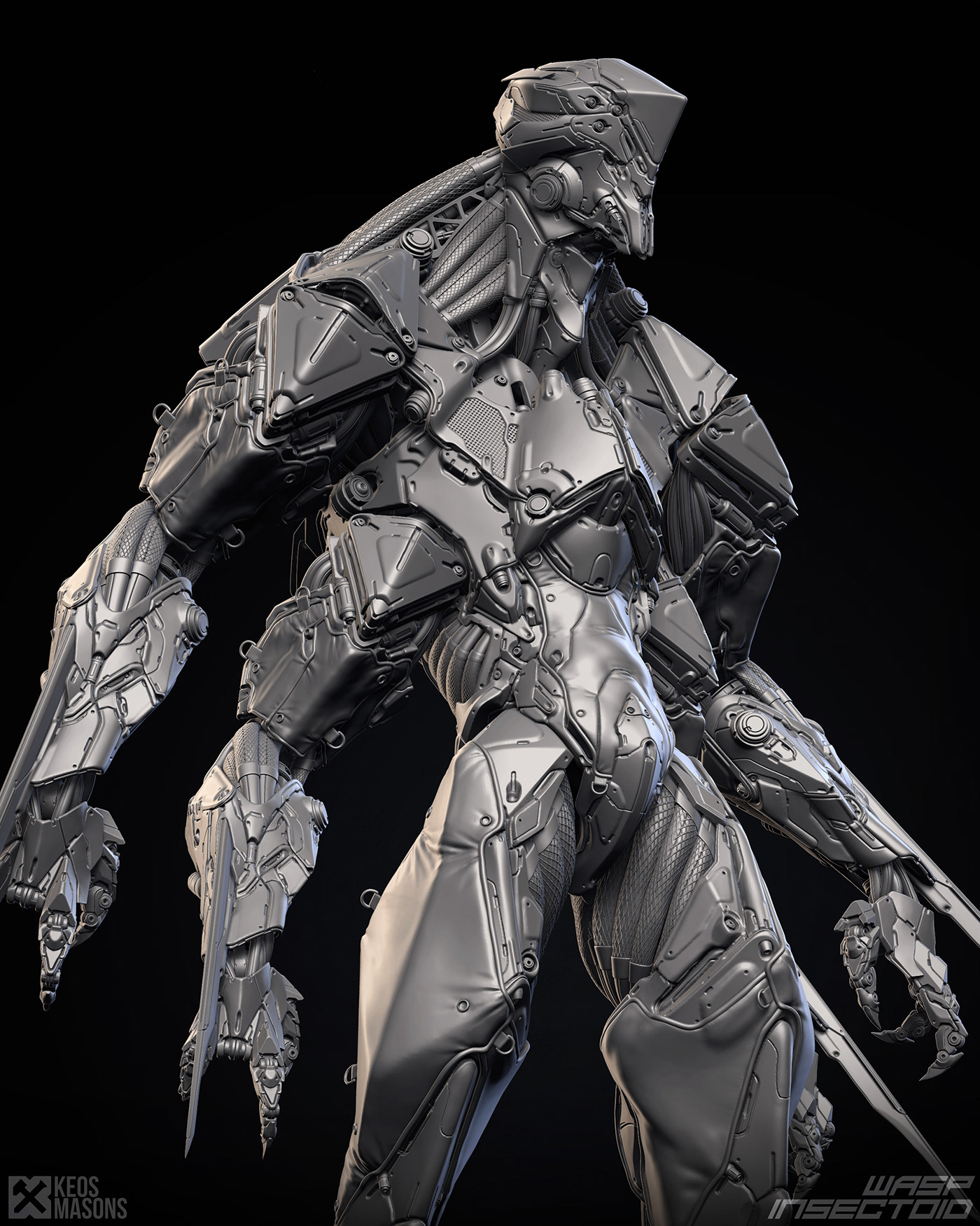 insect，Model，Render，