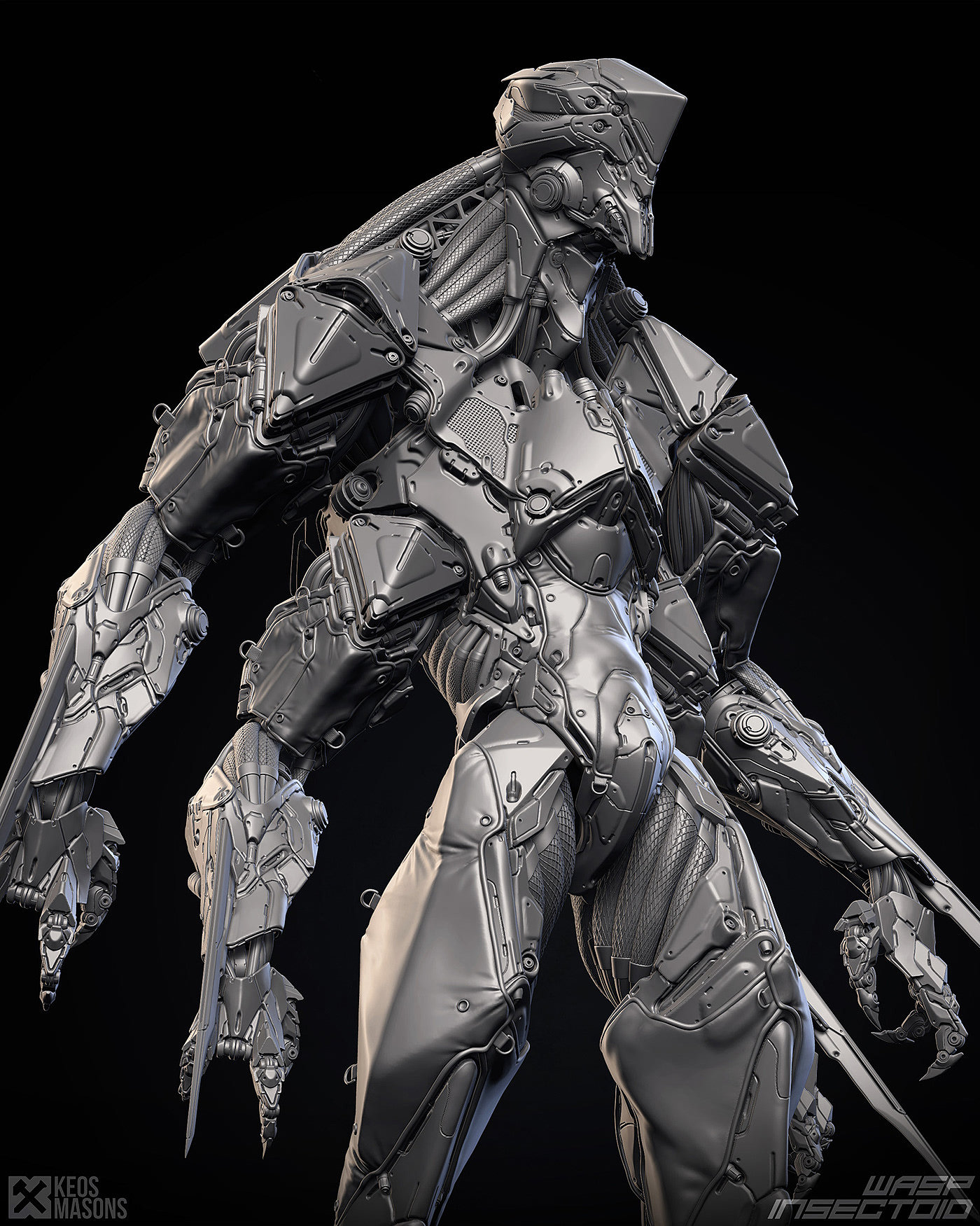 insect，Model，Render，