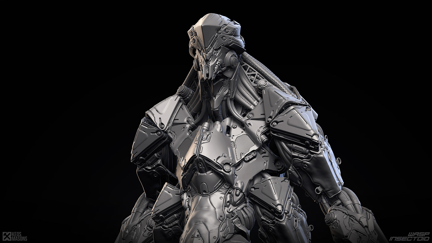 insect，Model，Render，