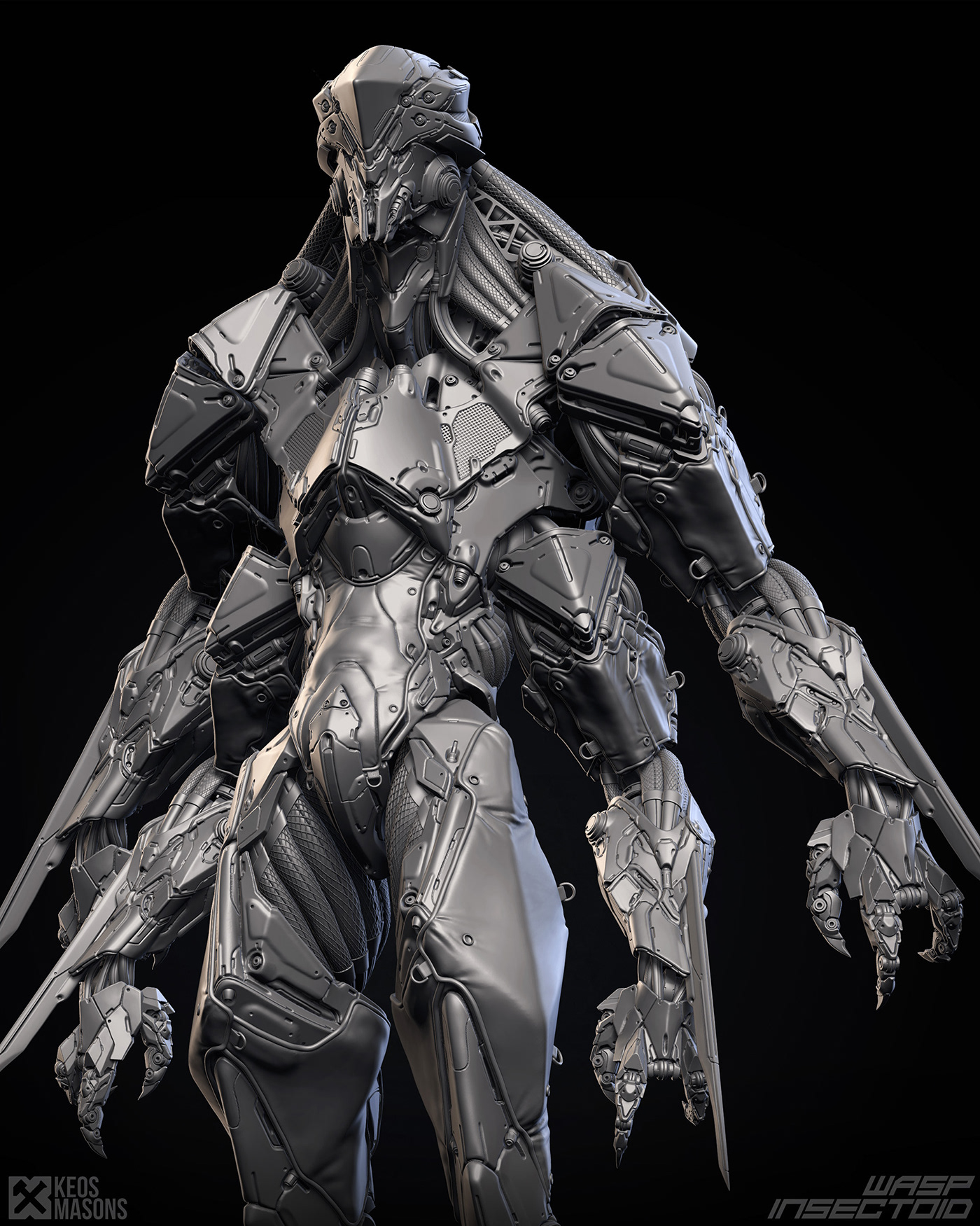 insect，Model，Render，