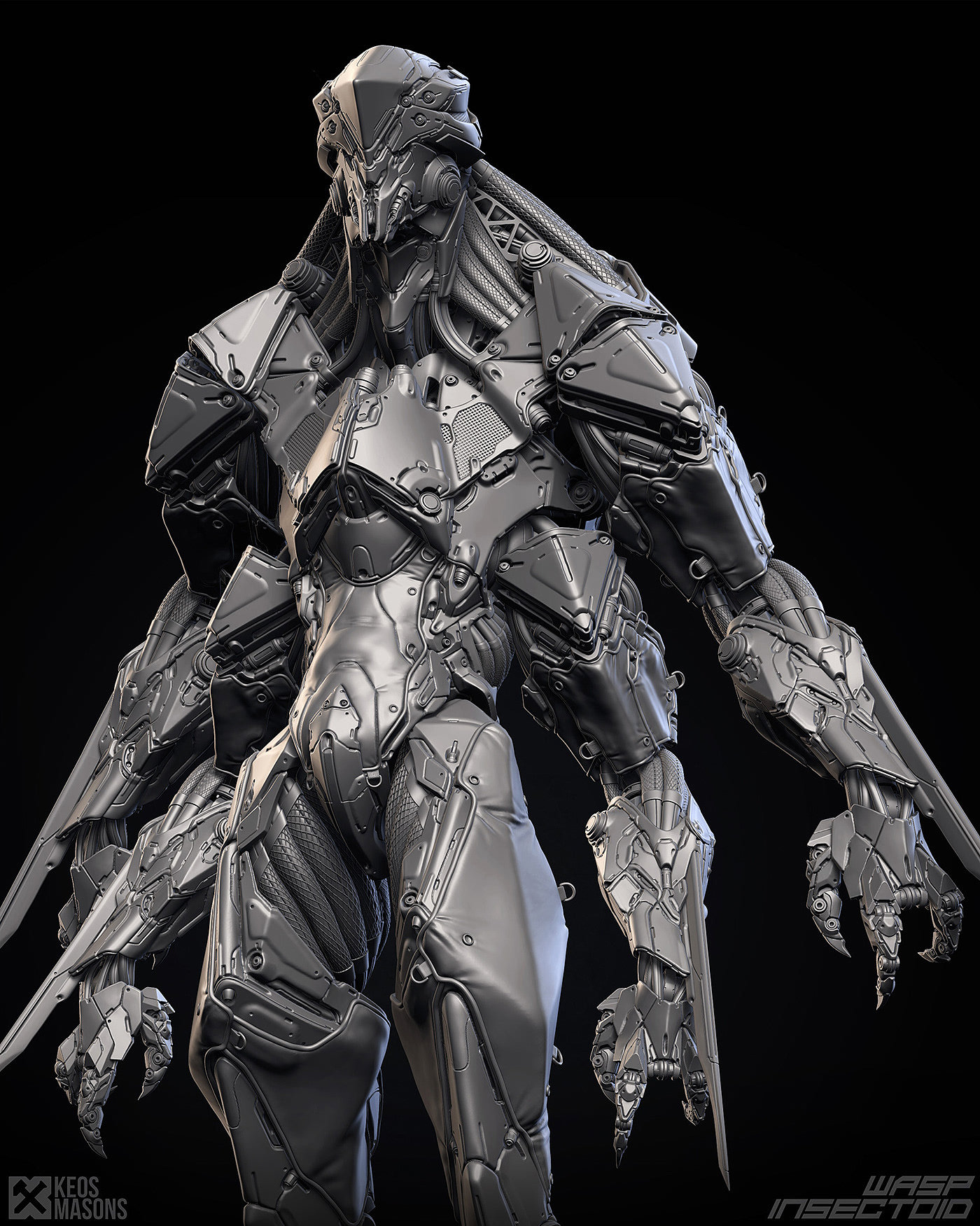 insect，Model，Render，