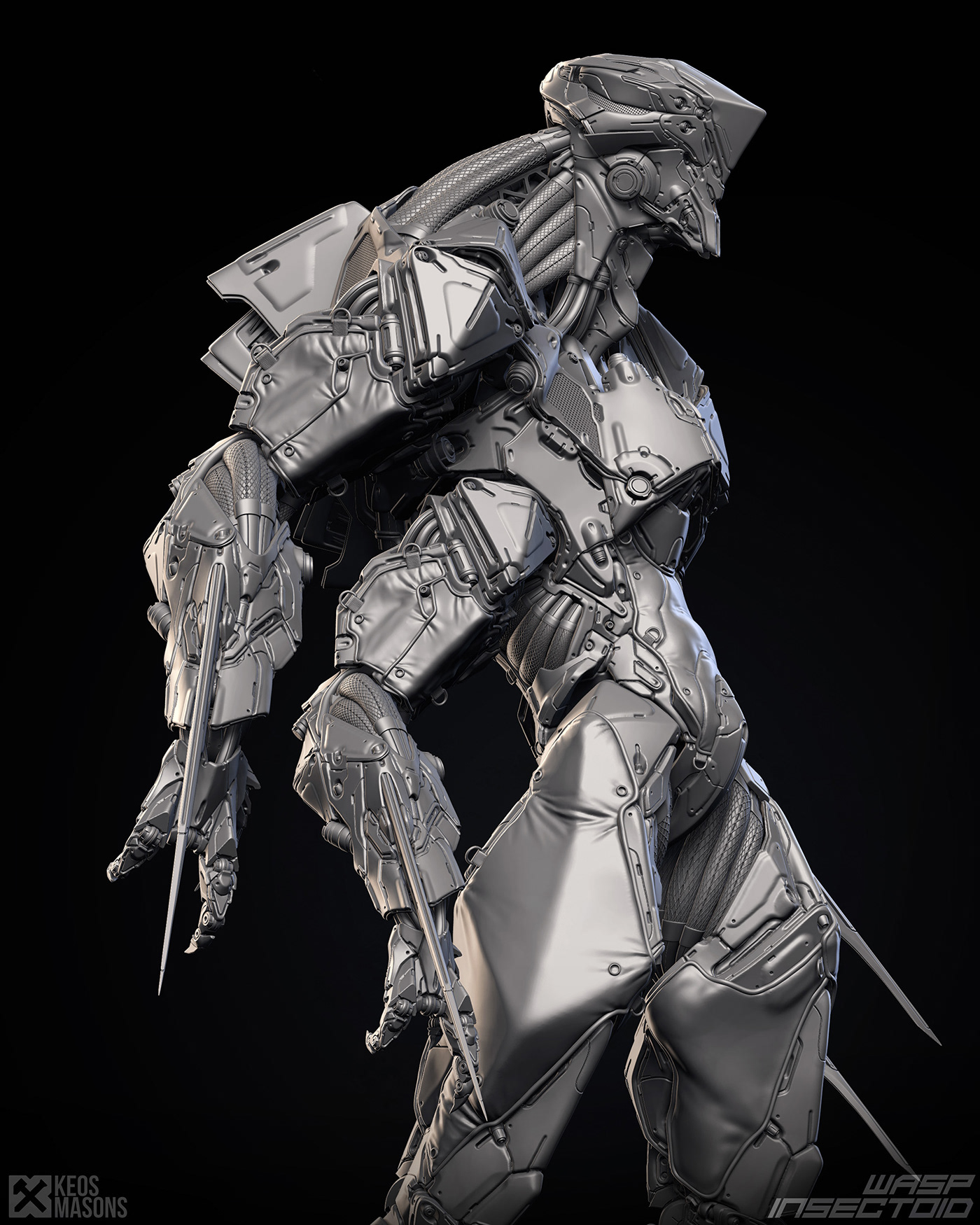 insect，Model，Render，